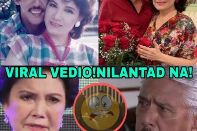 OMG! HELEN GAMBOA, EMOSYONAL na INILABAS ANG EBIDENSYA na MAGPAPATUNAY ng PAGTATAKSIL ni TITO SOTTO! Ano ang mga Lihim na Matagal Nang Itinatago ni Sotto? Alamin ang Buong Kwento at Pagsusuri sa mga Komento!