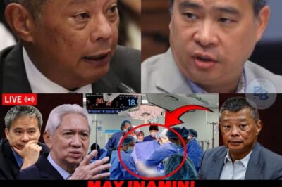 Ang Gabi na Nagbago sa Kapalaran ni Boying Remulla: Mga Bulong, Babala, at mga Pangalan na Lumilitaw