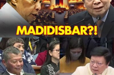 SHOCKING NA PAGBUBUNYAG! DI INAASAHAN NI MARCOLETA, PAGKAKA-PALIWANAG NI REMULLA – NGAYON, NAGSALITA NA ANG PANGULO NG MGA ABOGADO! ANO ANG MYSTERY NA NASA LIKOD NG KANYANG SALITA?!