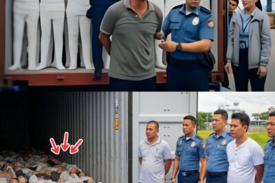 30 B@ngkay na Natagpuan sa Container Truck, Isang Shocking Pagbubunyag ng Malawakang Transnational Organ Trafficking Syndicate sa Pilipinas! Ano ang Nakatagong Kwento ng mga Biktima? Paano Nakalusot ang Iligal na Operasyong Ito, At Anong Malalim na Lihim ang Magsisiwalat sa Likod ng Karumal-dumal na Krimen?
