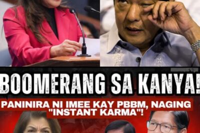 Boomerang sa Kanya! Paninira ni Imee Marcos kay PBBM, Naging ‘Instant Karma’—Ano ang Nangyaring Biglang Pagbalik ng Laban? Isang Shocking Pagbabalik-tanaw na Magpapaisip sa Lahat!