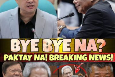 Matibay To! Former Ombudsman, Bumwelta na—Mga Rebelasyong Yumanig sa Bansa! Ano ang Lihim na Ibinunyag at Paano Magbabago ang Landas ng Politika ng Pilipinas? Ang Shocking Pahayag na Hindi Inaakalang Lalabas!