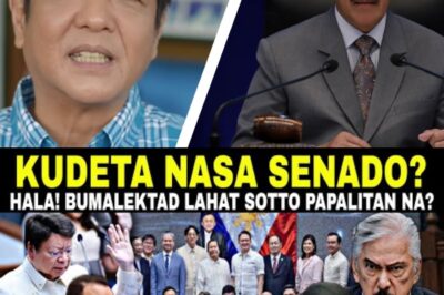 GOODNEWS! SENADO BUMALEGTAD NA TINAPOS NA SOTTO-LACSON? SEN ALLAN AT MARCOLETA PAPALET NASA PWESTO?