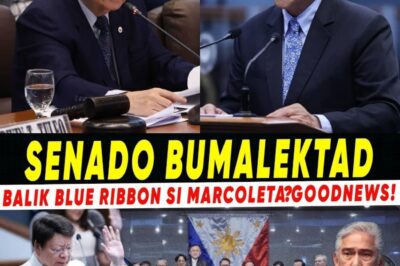 ‘Sino ba sa tingin mo ang sarili mo?’—Galit na Sagot ni Senator Marcoleta kay Senator Lacson! Sa isang nakakagulat na pangyayari, tinanong ni Marcoleta ang mga prayoridad ni Lacson nang imbes na manghuli ng mga utak ng isang multi-bilyong pisong iskandalo, siya pa ang iniimbestigahan, pati na ang pagkuha ng CCTV footage mula sa kanyang opisina. Ano ang nasa likod ng imbestigasyong ito ni Lacson, at bakit siya nagiging pokus ng ganitong kontrobersiya? Isang politika na hindi mo dapat palampasin!