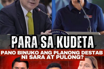 SHOCKING REVELATION: MON TULFO BREAKS HIS SILENCE! THE HIDDEN TRUTH BEHIND THE MALACAÑANG “DESTROY PLAN” EXPOSED – NAMES, DATES, AND DETAILS FINALLY REVEALED. IS THERE REALLY A PLOT AGAINST PBBM? ALL THE EVIDENCE AND FACTS IN THIS ARTICLE WILL LEAVE YOU SPEECHLESS!