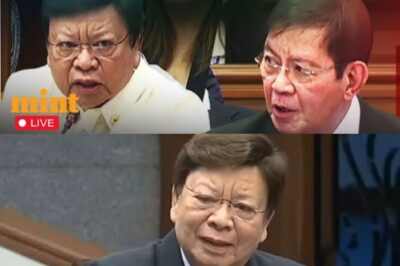 “Ang Pagluhod ni Claire: Lihim at Luha ng Isang Tahimik na Senado”