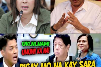 AGAD NA DEMANDA NG PAGBITAW! Ang sitwasyon sa Malacañang ay dumaan sa matinding kaguluhan – mga Ilocano nagprotesta laban sa ‘pagtraydor’ ni Pangulong BBM, at nanawagan ng agarang pag-alis nito sa pwesto. Vice President Sara Duterte, sinasabing handa nang magsagawa ng pag-takeover! Ang social media, hindi mapigilan, ang mga balita ay bumabalot sa internet, at ang mga opisyal ay nahihirapang magpaliwanag. Sa bawat kilos ng gobyerno, mata ng publiko ang sumusubok! Isang politikal na krisis ang bumabalot sa Pilipinas – Direkta, magulo, at puno ng pag-aalinlangan!