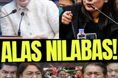 SENATE HEARING ERUPTS: Erwin Napamura Stands Up, Slams the Table, and Fires Questions That Silenced the Entire Chamber — One Senator Falls Apart, Microphone Drops, Security Moves In. What They Didn’t Expect to Happen Next Will Leave You Speechless!