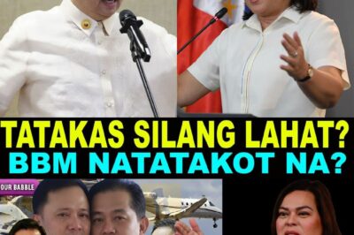 Nagkagulo sa Japan! VP Sara Huling Binasag ang Katahimikan sa Tokyo, Inihayag ang Listahan na Nagdulot ng Matinding Pagkakagulo sa mga Opisyal – Anong Lihim ang Matatagpuan sa Ikalawang Sobre?