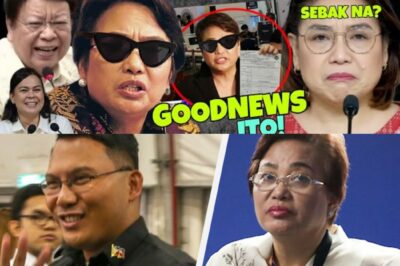 “Ang Nakakagulat na Lihim sa Likod ng Kapangyarihan: Rebelasyon ni Rowena Guanzon Nagulantang ang Bansa!”