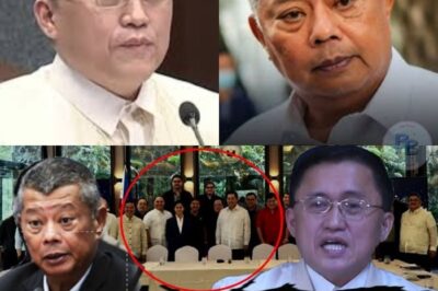 “GUMANTI SI BONG GO!”: Ang Lihim na Dokumento na Yumanig sa Buong Senado