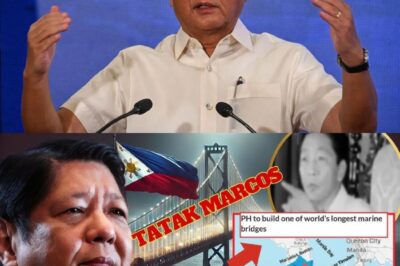 THE IMPOSSIBLE BRIDGE: Ibinunyag ang Lihim ng Marcos Project na Punong-puno ng Pagsubok – Kapag ang mga Pangarap ay Lumampas sa Hangganan ng Realidad