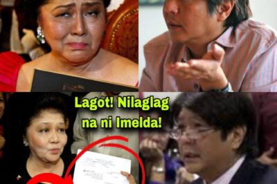 IMELDA Marcos, NILABAS ang EBIDENSYA laban kay BONGBONG Marcos! MGA NINAKAW ni BBM BULGAR NA!