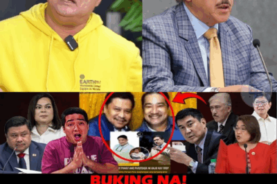 MAINIT NA BANGGAAN! ANJO YLLANA, ATTY CLAIRE CASTRO, TITO SOTTO AT RAFFY TULFO KASADO SA ISANG USAPANG IKINAGULAT NG PUBLIKO