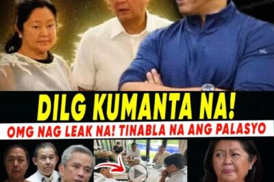 Sources Claim Internal Rift Unveiled: Jonvic Remulla Allegedly Exposes ‘JR’, Lisa, and Their Financial Strategies Involving Recto – What Secrets Have Been Revealed and How Will This Impact the Power Dynamics?