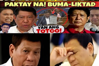 “NARITO NA! ANG LIHAM NA NAGPAKULO SA BUONG BANSA — AT ANG MATINDING SAGOT NI CONG. ERICE SA NAGPASIMULA NG GULO!”