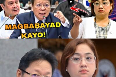 JUST IN: SARA DISCAYA UMAMIN NA! MASTERMIND TINURO NA? HARAPANG GINISA SA SENADO HEARING NI MARCOLETA