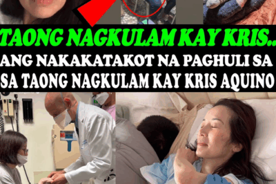 NAKAKAGULAT NA HAKBANG! Kris Aquino, Nakita sa Wheelchair at Nagbigay ng Lihim Tungkol sa ‘Bagong Tahanan,’ Yellow Mask, at Mysterious November 13 Checklist! Bakit ang fans ay nag-aalala?