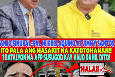 PAKTAY KA😭 ANJO, SUPAL-PAL KAY KRIS AQUINO & JIMMY SANTOS!❗ 1 BATALYON NG AFP, SUSUGOD KAY ANJO DAHIL DITO! Bakit nga ba nagkasama ang mga pangalan nila?