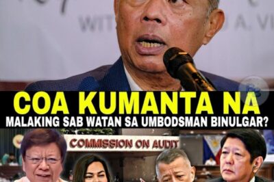 ANG UMUUGONG NA ULTIMATUM: Isang Malalim na Pagsilip sa Umano’y Galaw ng Ombudsman, COA, at ang Usapin na Kinasasangkutan ni Remulla
