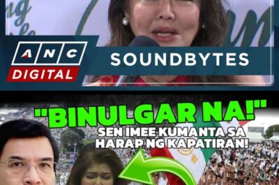 NAGULANTANG ANG KAPATIRAN SA IGLESIA! SEN IMEE KUMANTA NA! ADIK SI BONGBONG PATI ANG KANYANG ASAWA!