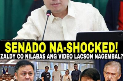 SAKSI SA MASALIMUOT NA KWENTO: BIG EVIDENCE LABAN KAY LACSON, BINOLGAR NI ZALDY CO? SENADO, SHOCKED SA SEKRETO NI SOTTO!
