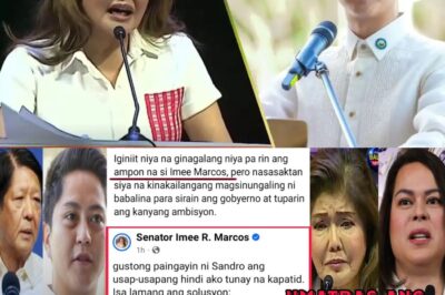 BBM, Sandro at ang Nag-aalab na Hamon ni Imee: Lihim na Pag-uusap sa Likod ng Malacañang!