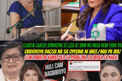 Bumubuhos ang ebidensya sa opisina ni Sen. Imee, at isinapubliko ni Propesor Clarita Carlos ang mga lihim! Bakit hindi na kayang ilihim ang mga sikretong ito?!