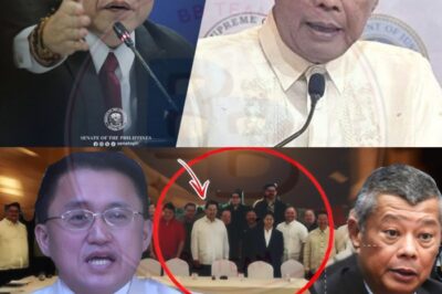 Isang beses, habang nagbabasa ako ng mga dokumentong hindi inaasahan, ang isang lihim na papeles ay nagbukas ng mga pinto ng katotohanan—at dun ko lang nalamang may gumanti kay Bong Go! Ano ang mga detalye na hindi pa natin alam?