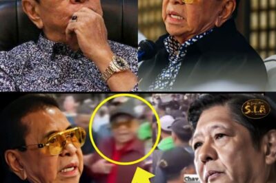 PAGKATAPOS GAWIN ITO ni Chavit kay PBBM, NANGYARI ang HINDI NIYA INAAASAHAN! Ano ang NAGBIGAY ng MALAKING PAGKABIGLA sa LIDERATO at Bakit NAGULAT ANG BUONG BANSA?