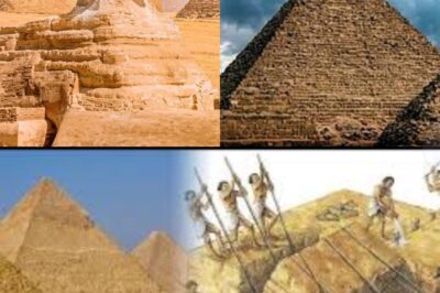 BAKIT GINAWA ANG MGA PYRAMIDS?