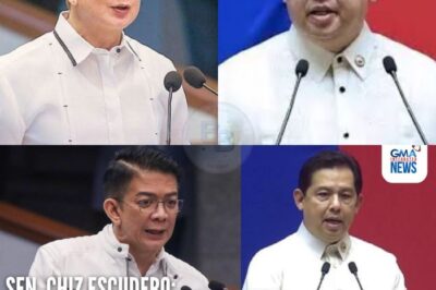 Chiz Escudero accuses Martin Romualdez of pushing impeachment plot vs. VP Sara