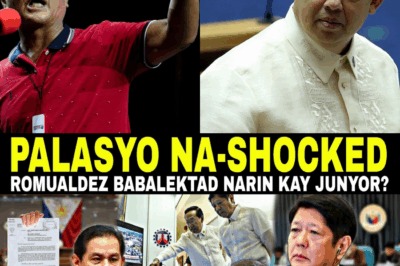 Romualdez, KINANTA SI JUNYOR—PAGKAKAGULO SA PALASYO, OMBUDSMAN SHOCKED!❗ Ano ang nangyaring kontrobersya na tumama sa Palasyo?