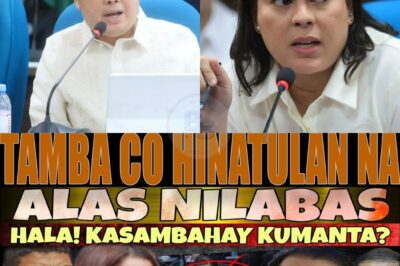 UMUGONG ANG KOMUNIDAD! Isang yaya na matagal umanong nanahimik ang nagpaulan ng tanong at diskusyon matapos lumabas ang kanyang kuwento. Maraming netizens ang napa-react, at mas lalo silang natahimik nang lumabas ang mga bagong detalye. Bakit ngayon lang siya nagsalita? At ano ang hindi niya nasabi noon? Basahin ang buong storya sa comments!