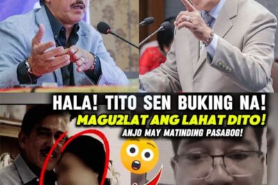 KUMALAT NA! Isang di-umano’y kontrobersya ang muling naghatid ng sigalot sa pagitan ng mundo ng pulitika at showbiz matapos masangkot ang pangalan ni Tito Sen sa isang “lihim” na matagal nang pinag-uusapan sa likod ng kamera. Marami ang nagtataka: bakit ngayon lang lumabas ang kwento? At ano ang koneksyon ng lahat ng ito? Basahin ang kumpletong kwento sa comments!