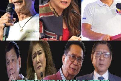 MAGALING NA PANGULO SI PBBM! IMEE PANSARILI ANG GINAGAWA—SIYA LANG ANG MAKIKINABANG! — SAL PANELO