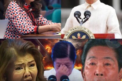 omg NAHALUNGKAT AT NAKALIMUTANG SULAT NG AMA NA SIGURADONG DUDUROG SA PUSO NI SEN. IMEE !