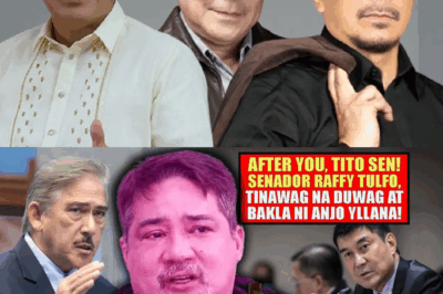 ANJO YLLANA, WALANG TIGIL NA LABAN SA TULFO BROTHERS!❗ TULOY PA RIN ANG HILAHILAN—Ano ang mga pahayag na magpapabagsak sa kanya?