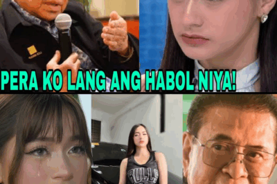 Chavit Singson, INILANTAD ANG TOTOONG DAHILAN KUNG BAKIT NA-LINK SIYA KAY JILLIAN WARD!❗ Bakit nga ba naging usap-usapan ang kanilang koneksyon?