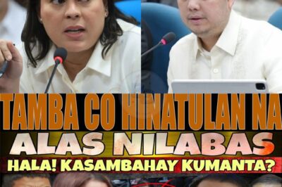 Ang pangalan niya ay Aling Rosa, mas kilala bilang Yaya Rosa. Sa loob ng labing-isang taon, tahimik niyang ginampanan ang tungkulin bilang tagapag-alaga ng anak ni Zaldi, tahimik niyang nilinis ang bahay, tahimik siyang nagluto, nagdasal, at naghintay. Walang nakakaalam na habang ang lahat ay masaya at matiwasay sa ibabaw, may unos na unti-unting lumalaki sa ilalim.