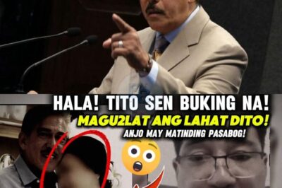 Ang unang pagputok ng balita ay nagsimula sa isang anonymous post sa X (dating Twitter) na may kasamang caption: “Kung sino man ang nagsasabing tapat siya, tingnan n’yo muna kung sino ang kasama niya sa Baguio noong weekend.” Kasama nito ang dalawang litrato ng isang lalaking kahawig ni Tito Sen na magkahawak-kamay sa isang babae na nakasuot ng pulang jacket.