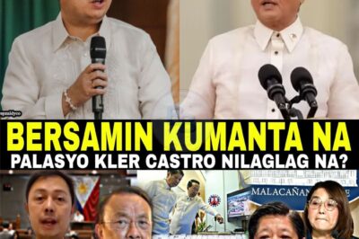 BIG NEWS! BERSAMIN BUMALEKTAD NA? PALASYO KLER CASTRO JUNYOR BINASAG ANG KASINONGALI NGAN? LAGOT NA!