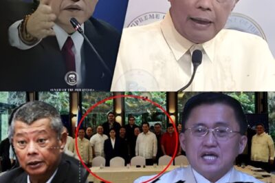 Habang nag-uumpisa ang diskusyon tungkol sa mga “infrastructure projects,” biglang nagbago ang tono ng boses ni Go. Sa halip na karaniwang ulat, nagsimula siyang magbanggit ng mga pariralang hindi inaasahan ng sinuman: “Alam natin kung sino ang kumikita sa pawis ng taumbayan. At ngayon, panahon na para makita ng publiko ang katotohanan.”