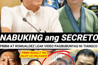 Cong Toby Tiango, INILANTAD ANG USAPAN NI MARTIN AT PBBM—Zaldy Co, BUMWELTA NA!❗ Ano ang mga shocking detalye na ikinagulat ng buong bansa?