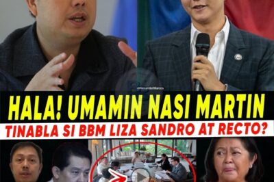 ANG SINDICATO NG PAMILYA: Mula sa P100B Budget Insertion Hanggang sa Sibuyas at Bigas—Liza Marcos at Bayaw, Diretsahang Idinawit