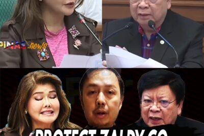 Sa gitna ng pinakamalaking krisis ng katiwalian na humahantong sa pinakamataas na antas ng gobyerno, isang makasaysayang usapin ang naganap sa Senado—ang pagtatanong sa Department of Foreign Affairs (DFA) kung paano mapoprotektahan ang buhay ng isang tao na may hawak ng susi upang makamit ang katarungan: si dating Congressman Zaldy Co. Ang kanyang mga sunud-sunod na rebelasyon ay nagbigay ng liwanag sa trilyong-trilyong pisong katiwalian, na naglagay sa kanyang buhay sa matinding panganib.
