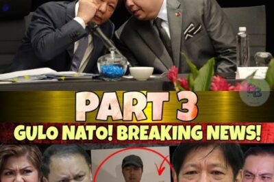 NAGKA-GULO ANG LAHAT! GRABE! MATINDI ’TO! JUST NOW: BREAKING NEWS! SHOCK ANG LAHAT SA SINABI NI CO!