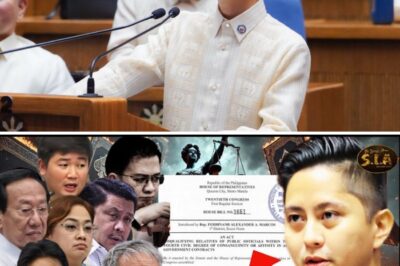 Yari Na! Sandro Marcos, Tinutukan ang Bawat Congressman at Senador – Isang Bagong Batas na Puwedeng Magbago ng Buong Sistema sa Pilipinas, Hindi Mo Aakalain ang Matutuklasan!