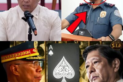 “SHOCKING! BABALIK BA SI GEN. TORRE BILANG PNP CHIEF?! ISANG DELIKADONG MISYON ANG NAKAHIHINTAY!”