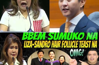 BBEM, Sumuko na? Sandro Kakasa kay Imee Marcos? Ang Lihim na Inilabas ni Zaldy Co—Narito ang Buong Kwento!